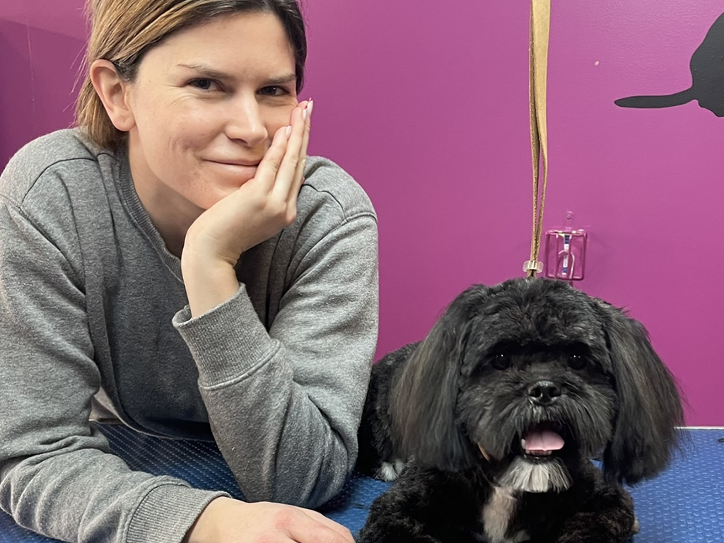 About Our School Offering Professional Pet Grooming Education in